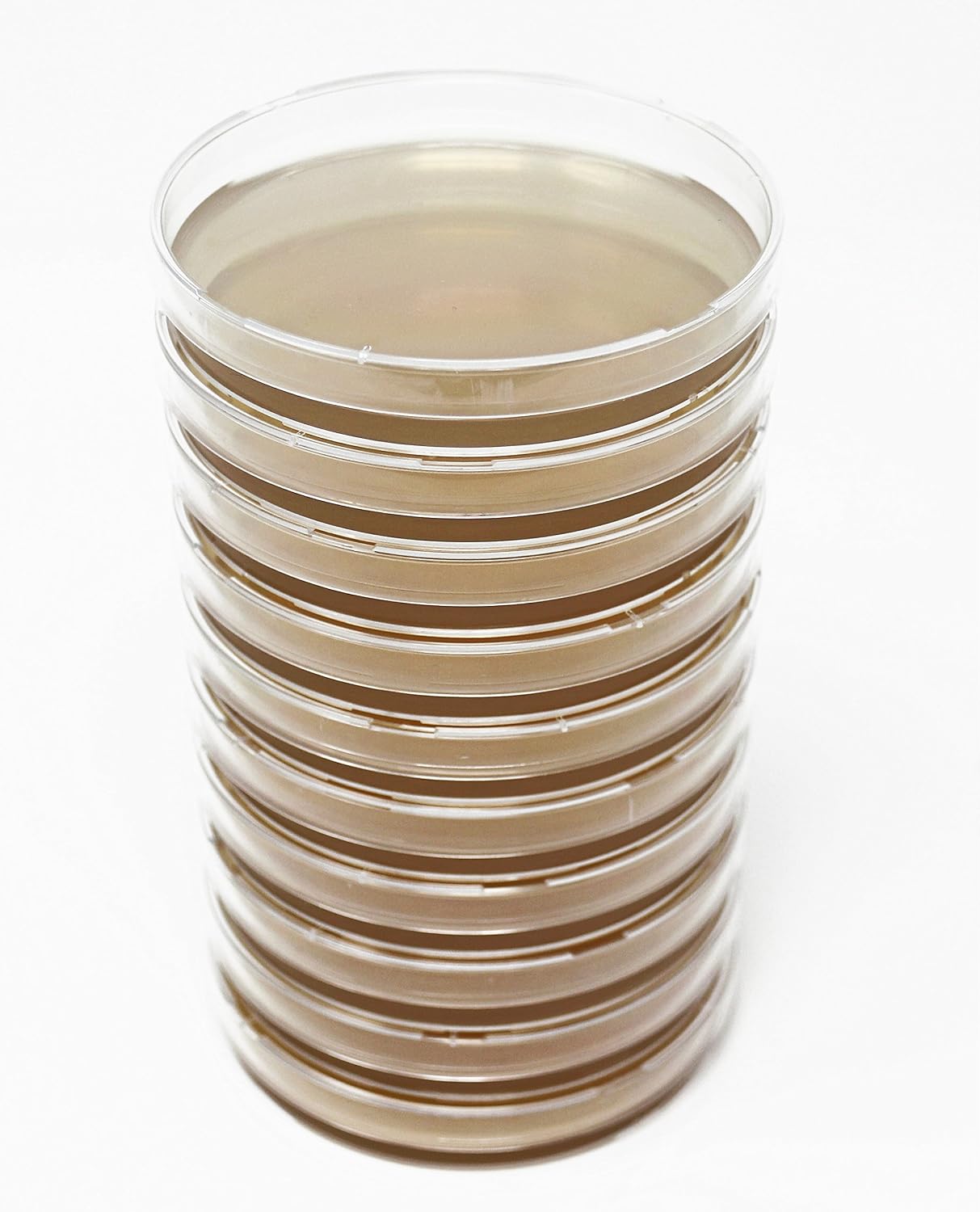 EZ BioResearch Malt Extract Agar (MEA) Plates, 10 Prepoured Plates