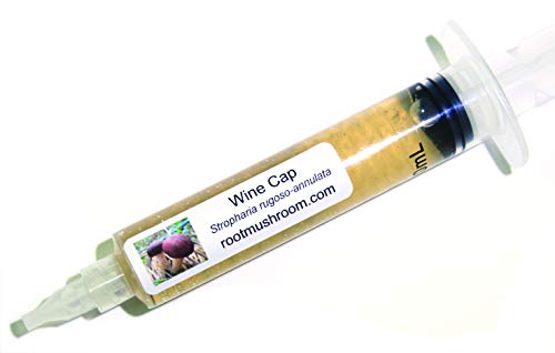 Root Mushroom Farm- Wine Cap Liquid Culture (Stropharia rugoso-Annulata)