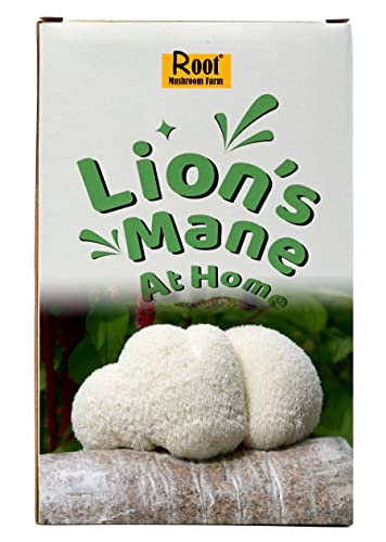 Lion's Mane Mushroom Grow Kit, 4 lb (Packaging May Vary)