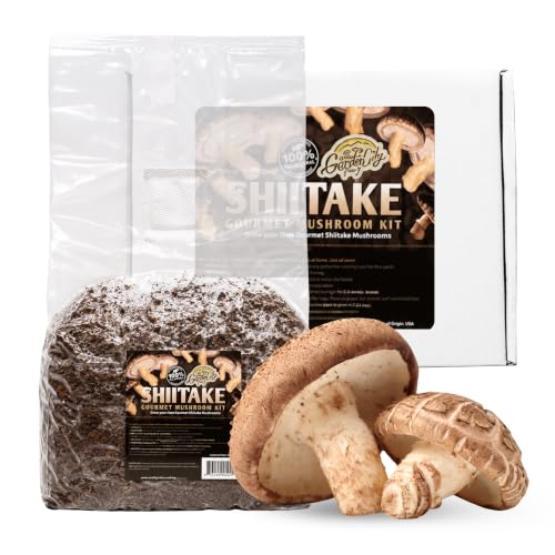 GARDEN CITY FUNGI Gourmet Organic Shiitake Mushroom Natural Grow Kit